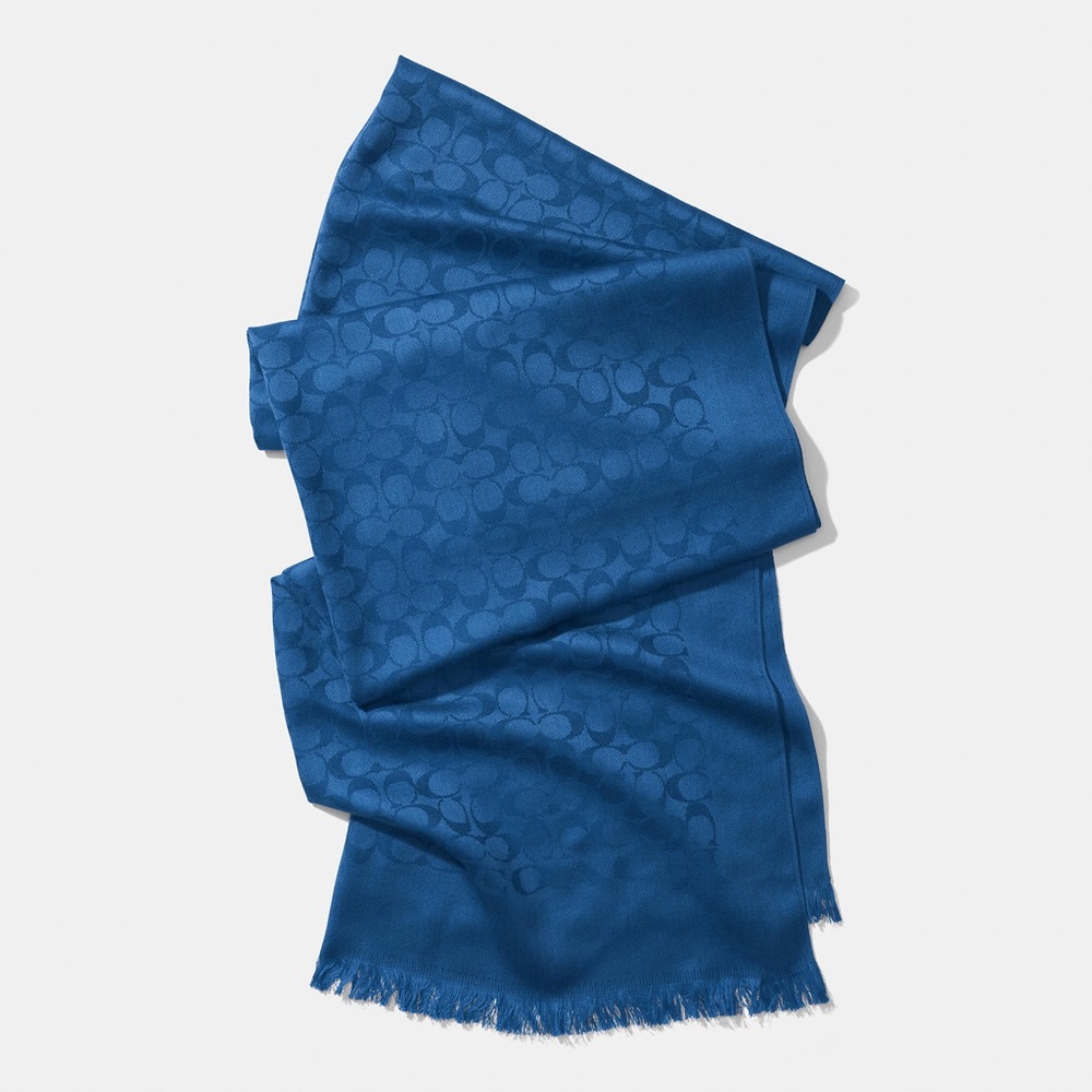 Coach scarf